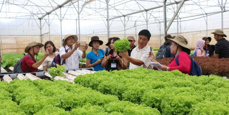 Phát triển bền vững mô hình kinh tế tập thể cho TX.Bến Cát