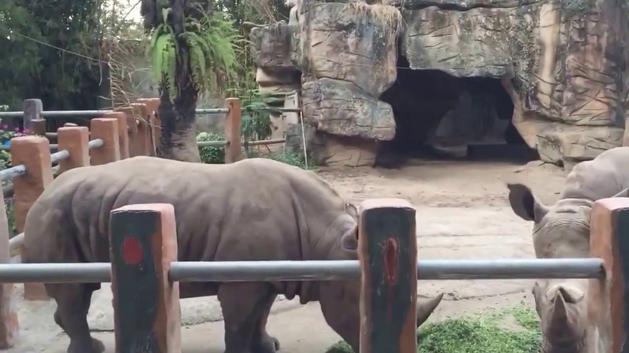 Từ A – Z  kinh nghiệm du lịch Đại Nam Văn Hiến tự túc 5