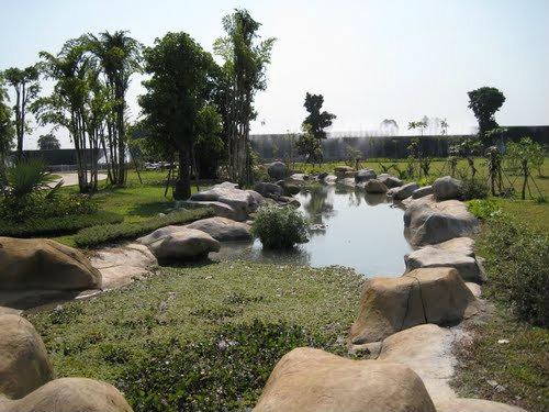 Đến với công viên bạn sẽ được hòa mình với thiên nhiên