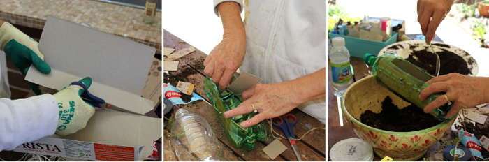 Gieo hạt giống vào chậu