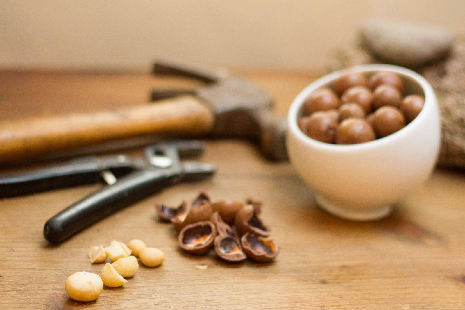 Dùng búa và kìm đập mạch để tách vỏ hạt macca khô