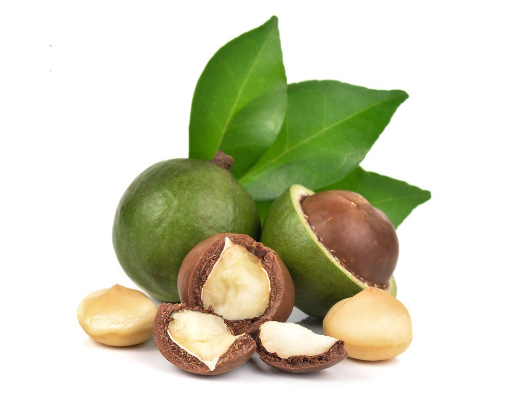 Hạt macca có vị béo ngậy, ngọt tự nhiên và hương thơm của bơ