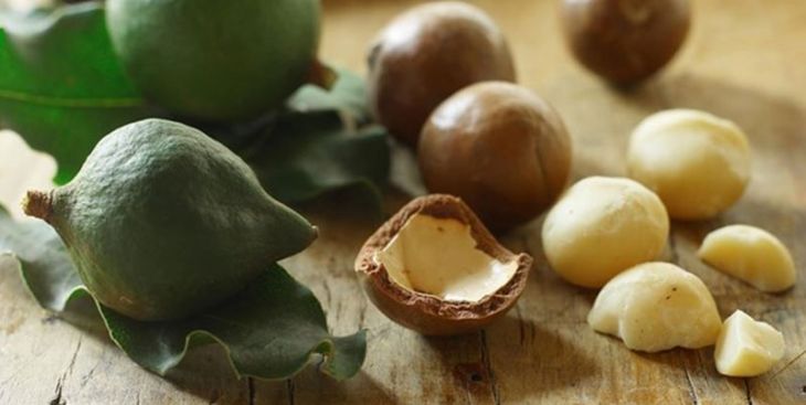 Hướng dẫn cách tách hạt macca đơn giản nhất