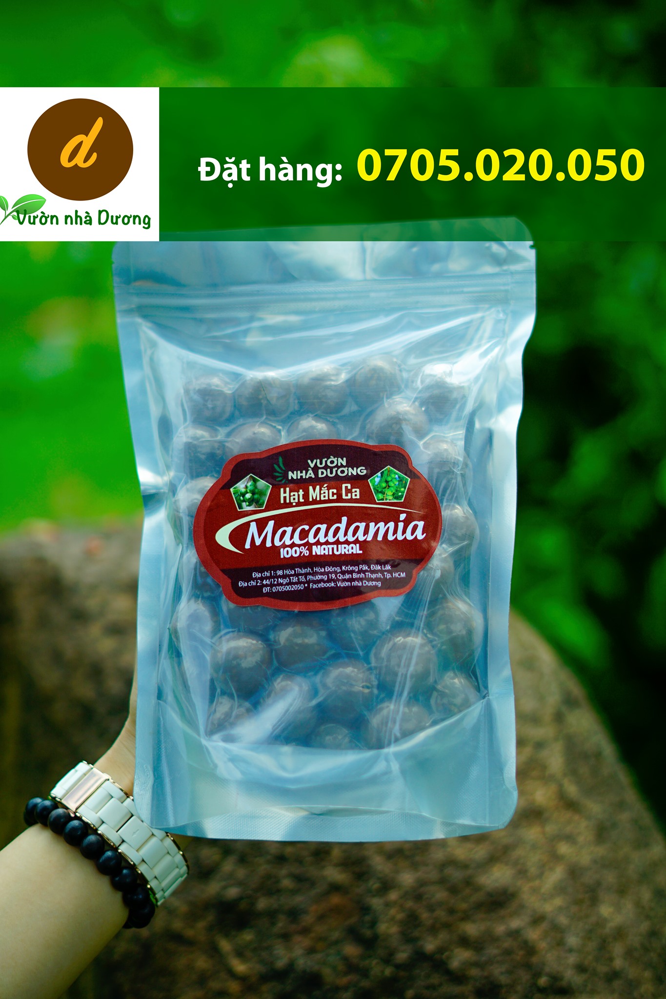 Vườn Nhà Dương đóng gói và hút chân không hạt macca sấy kỹ lưỡng