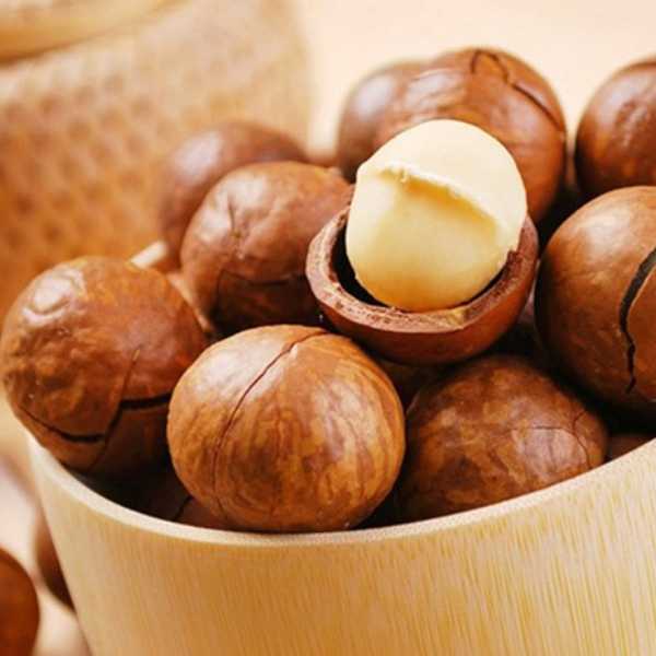 Mua mắc ca Úc tại Greenhouse