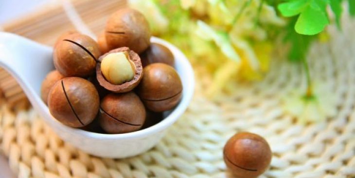 Hạt macca và hạt óc chó cái nào tốt hơn? (So sánh)