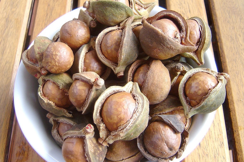 Hạt macca kém chất lượng được bán với giá rẻ tràn lan trên thị trường