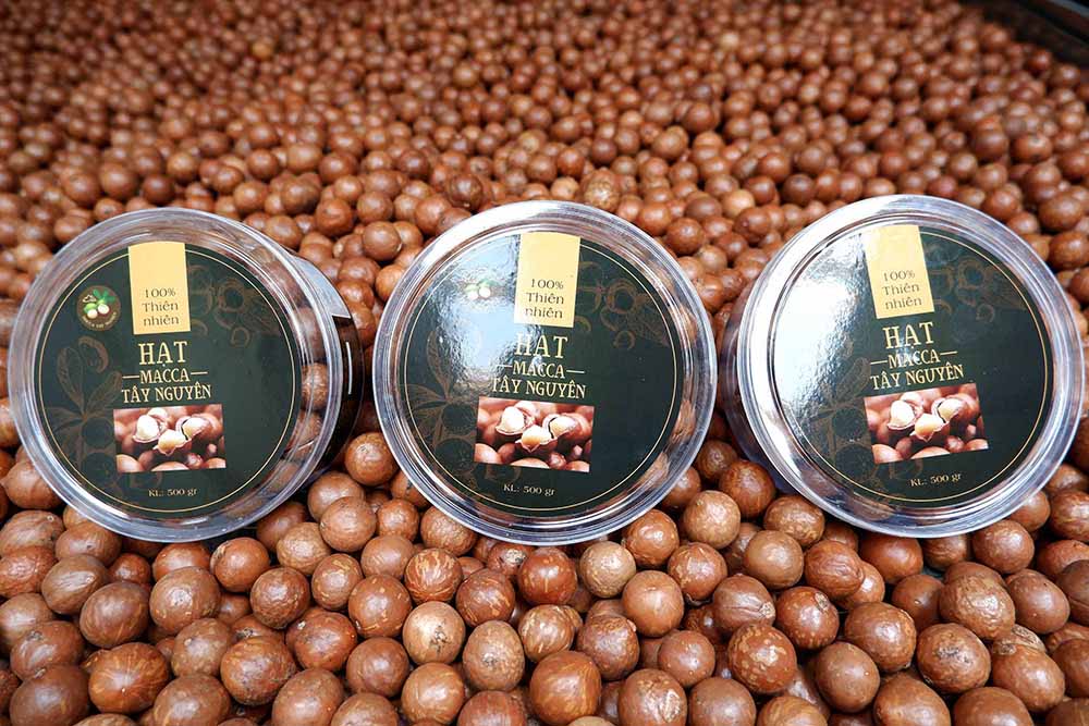 Công ty nông sản Tây Nguyên JSC cung cấp macca giá sỉ chất lượng cao