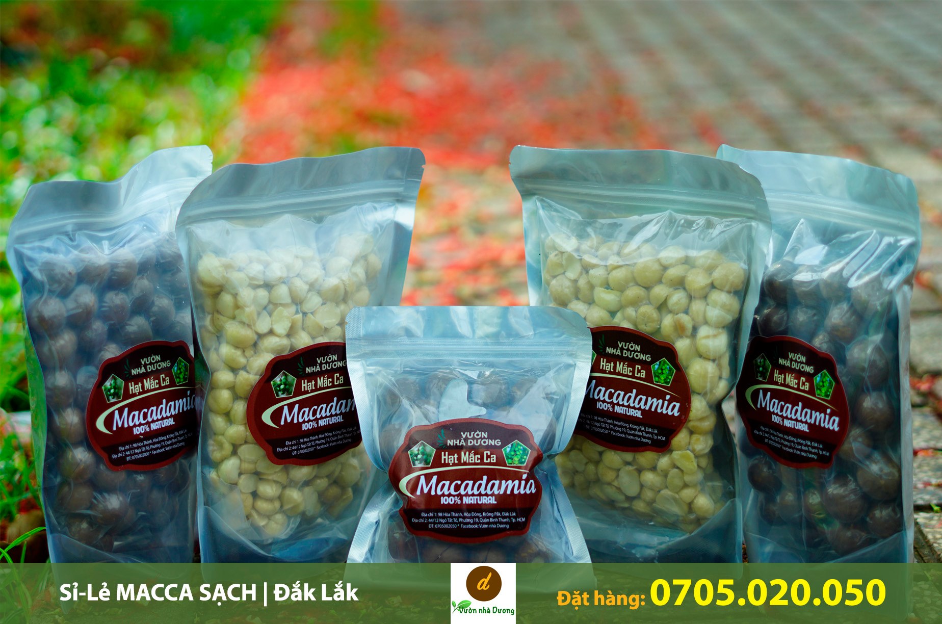 Lưu ý mua mắc ca giá sỉ phải có nguồn gốc xuất xứ rõ ràng