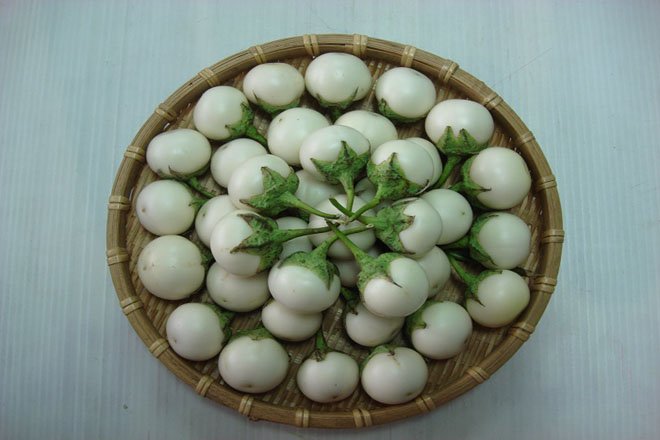 Món cà pháo kho tương ngon nhất nên chọn loại cà pháo bánh tẻ