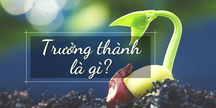 Danh ngôn về sự trưởng thành truyền thêm động lực mỗi ngày