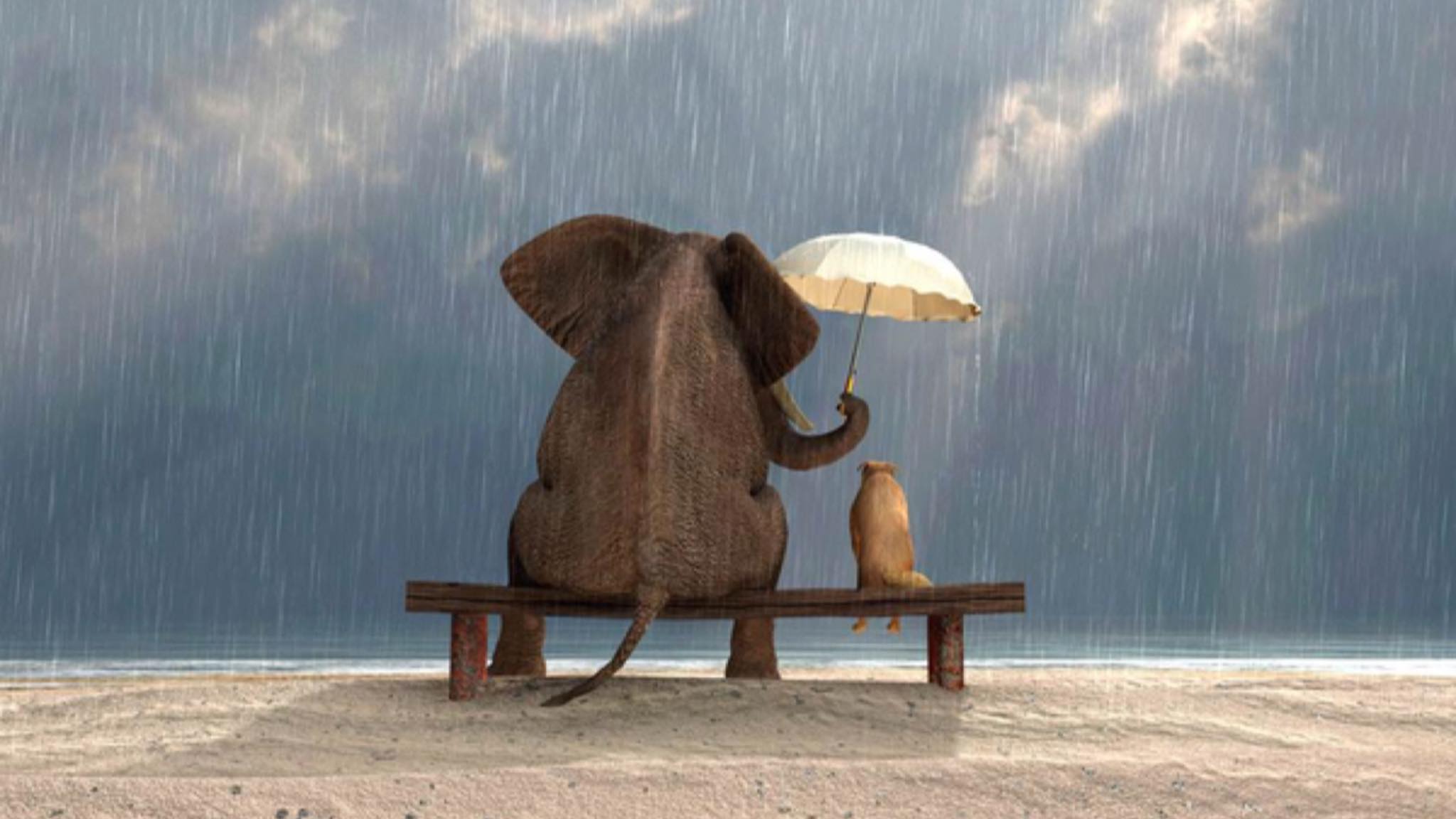 Đừng quá thiện lương, đừng quá thiện lương và cũng đừng tỏ ra quá tài giỏi