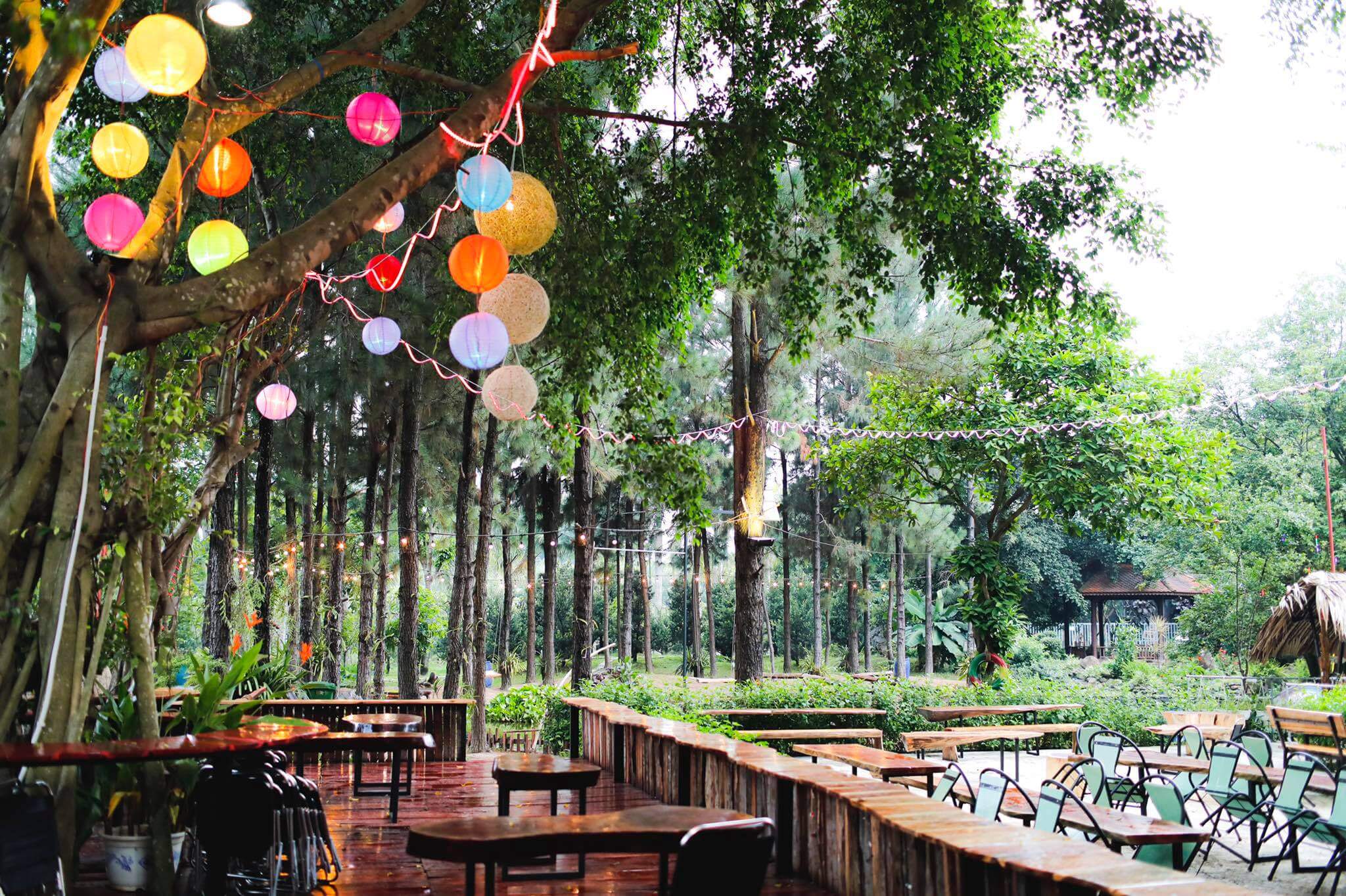 quán cafe đẹp ở Thủ Dầu Một 4