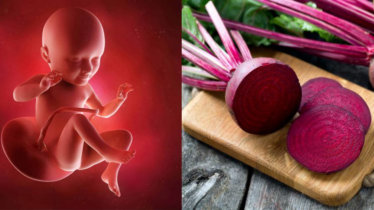 Hỗ trợ quá trình nuôi dưỡng thai nhi