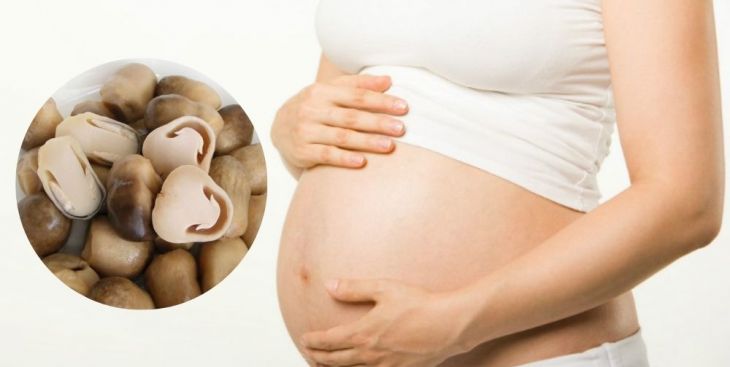 Bà bầu ăn nấm rơm được không? Lợi ích tuyệt vời của nấm rơm