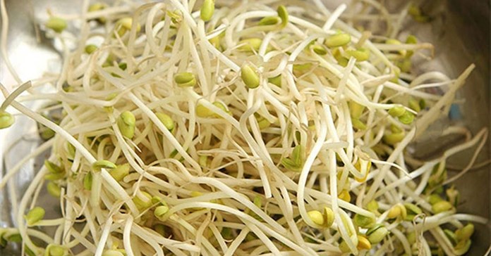 Sơ chế giá đỗ đúng cách