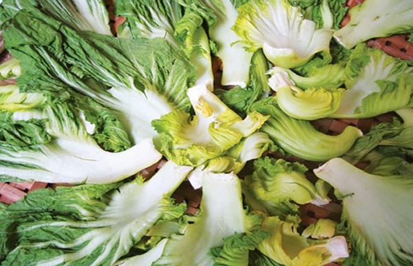 Sơ chế dưa cải đúng cách để muối dưa được vàng giòn