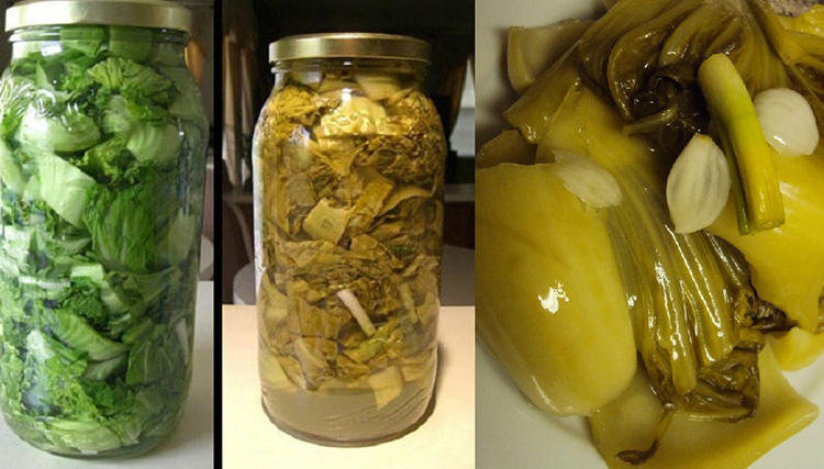 Công thức muối dưa cải chua chuẩn nhất