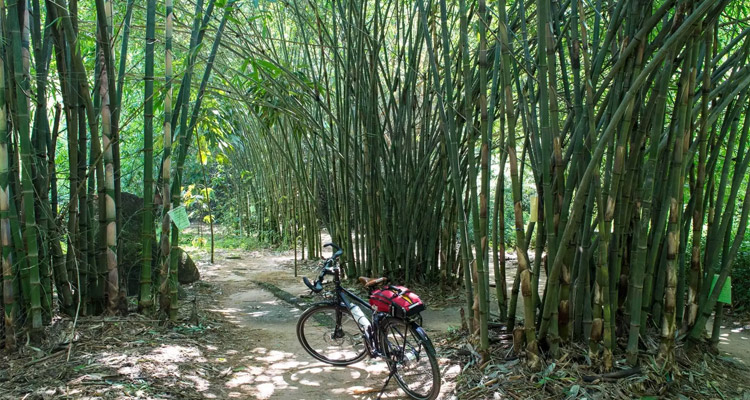 Một số lưu ý khi đi du lịch Làng tre Phú An