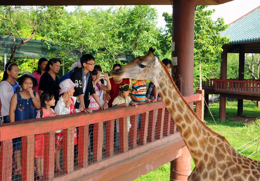 Tham quan vườn bách thú Đại Nam