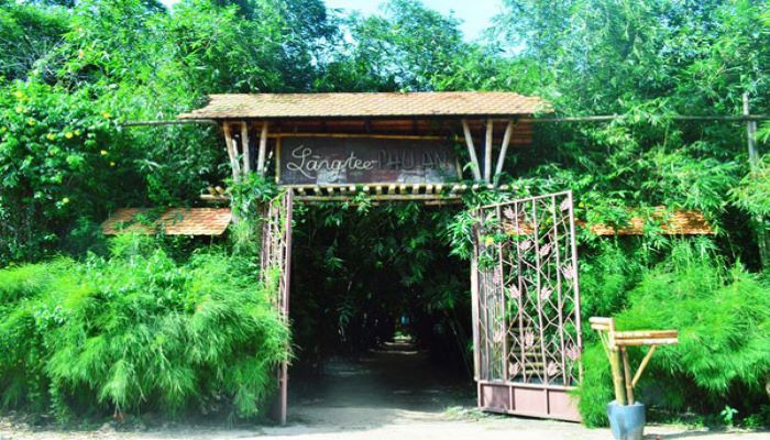 Tham quan Làng Tre Phú An