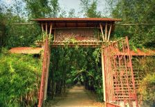 Khám phá điều thú vị tại khu du lịch làng tre Bình Dương