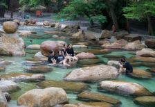 Top 4+ địa điểm dã ngoại ở Bình Dương lý tưởng nhất